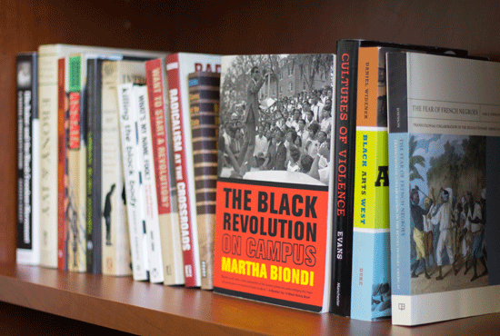 African American Studies books